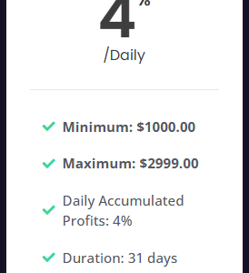 Antminer Investment Plan